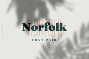 Norfolk Duo Font: Contemporary Display Typography for Web Design