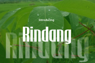 Rindang Font Review: A Fresh Display Typeface for Branding