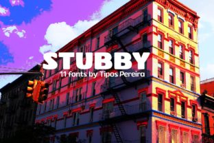 Stubby Font Review: Charming Display Type for Small Business Branding