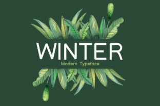 Winter Font: Modern Display Typography for Makers